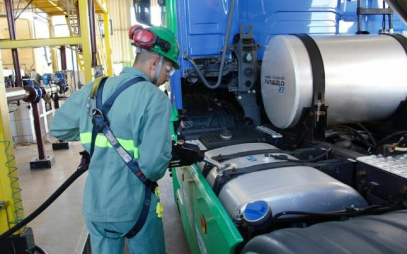 Divulgação - Potencial