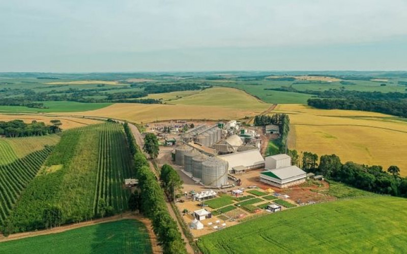 Divulgação - Bocchi