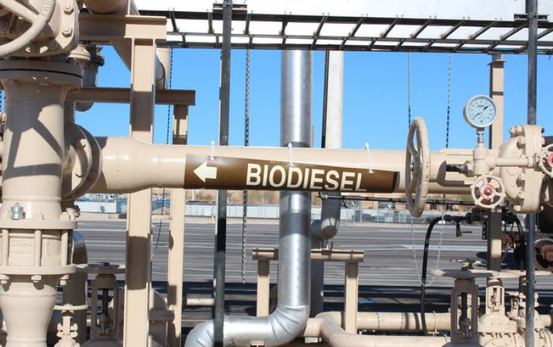 Divulgação - United Soybean Board