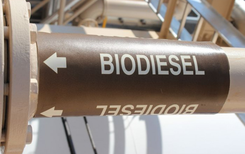 Divulgação - United Soybean Board