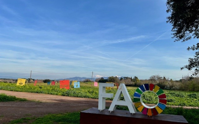 Sarina Abdysheva - FAO