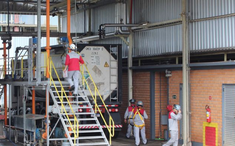 Divulgação - Olfar