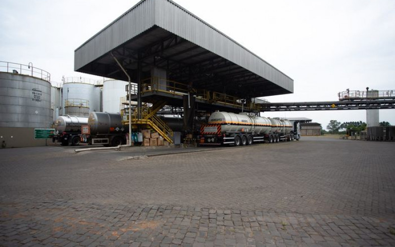 Reprodução - Bianchini 