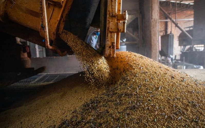 Divulgação - Sistema CNA/Senar