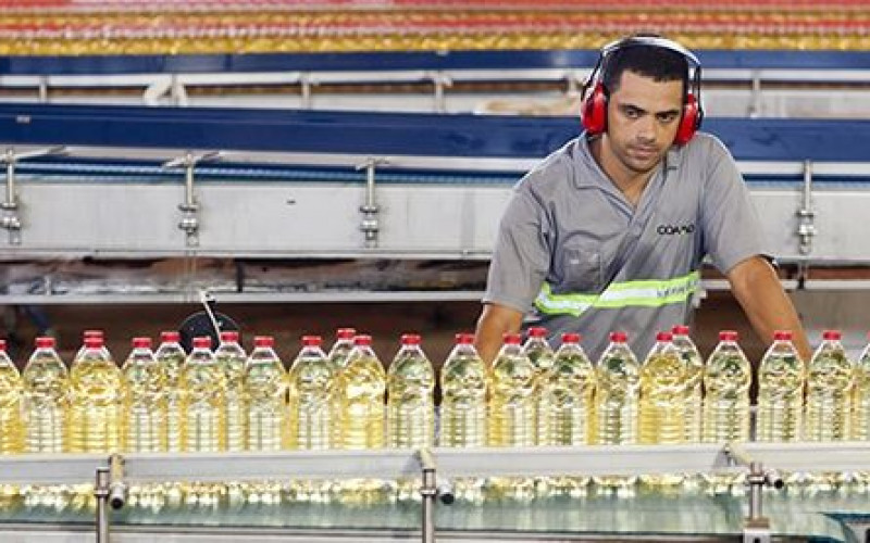 Reprodução - Coamo