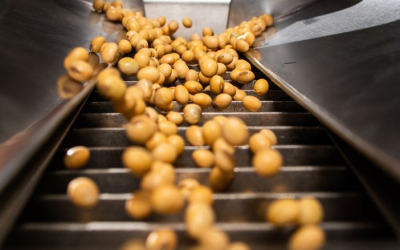 Wenderson Araújo - Sistema CNA/Senar