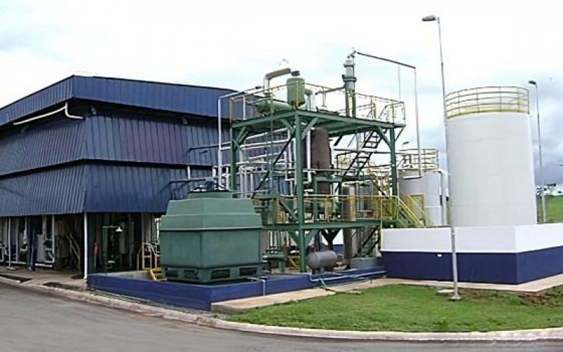 Divulgação - Minerva 