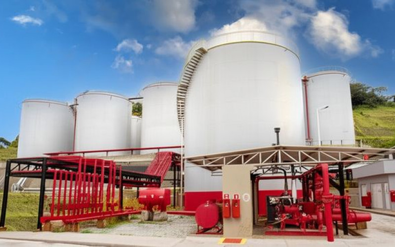 Divulgação - Potencial