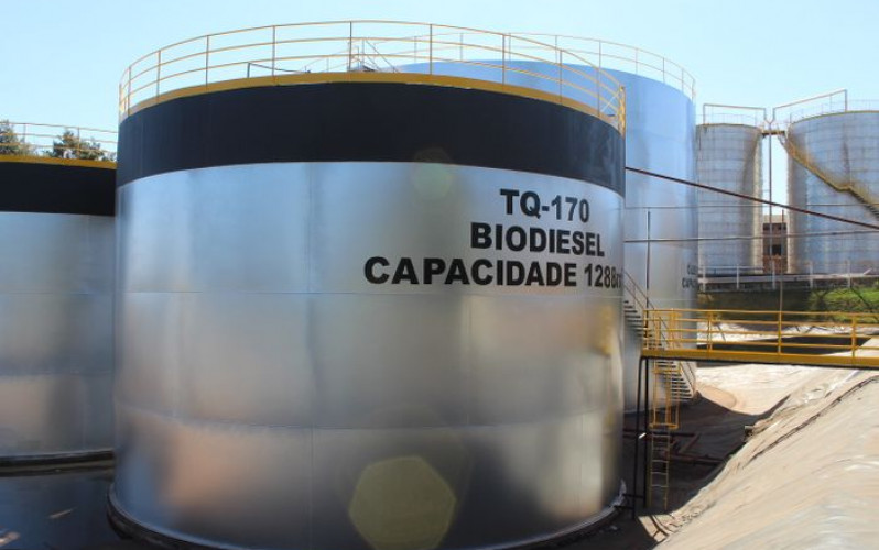 Reprodução - Brejeiro