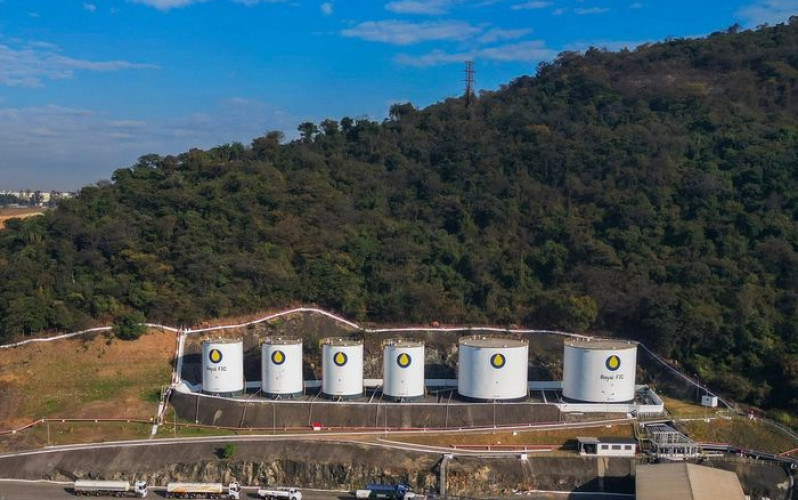 Reprodução - Royal FIC