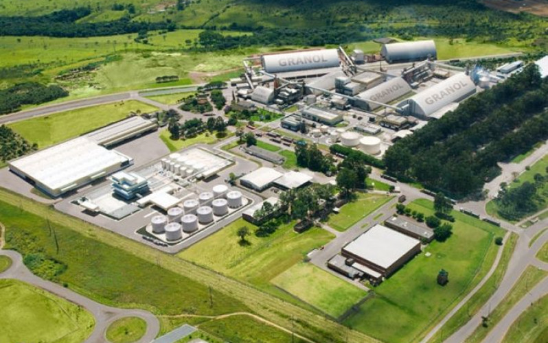 Divulgação - Granol