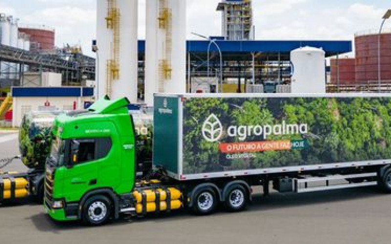 Divulgação - Agropalma