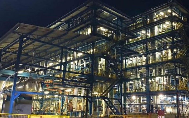 Divulgação - Olfar