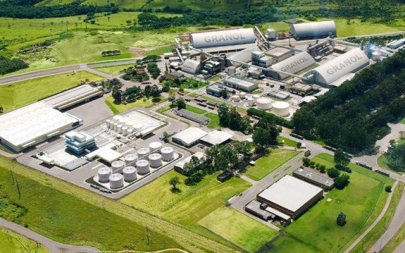 Divulgação - Granol