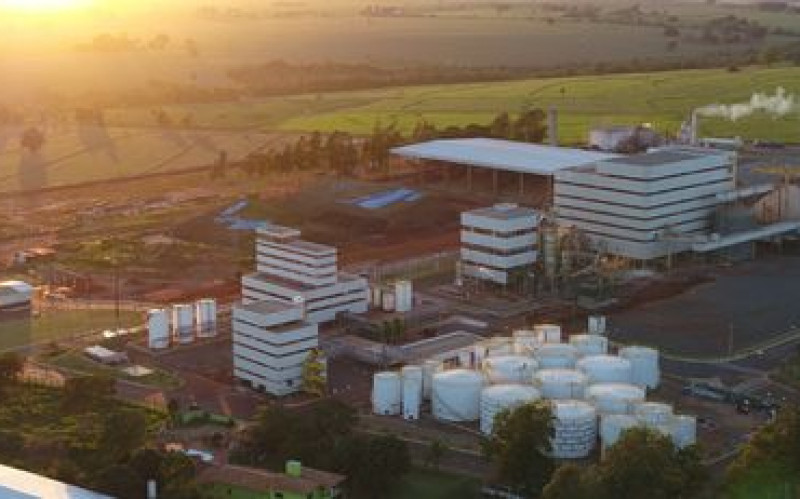 Reprodução - Lar Cooperativa