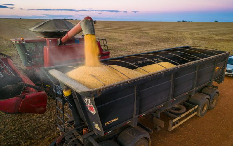Wenderson Araújo - Sistema CNA/Senar