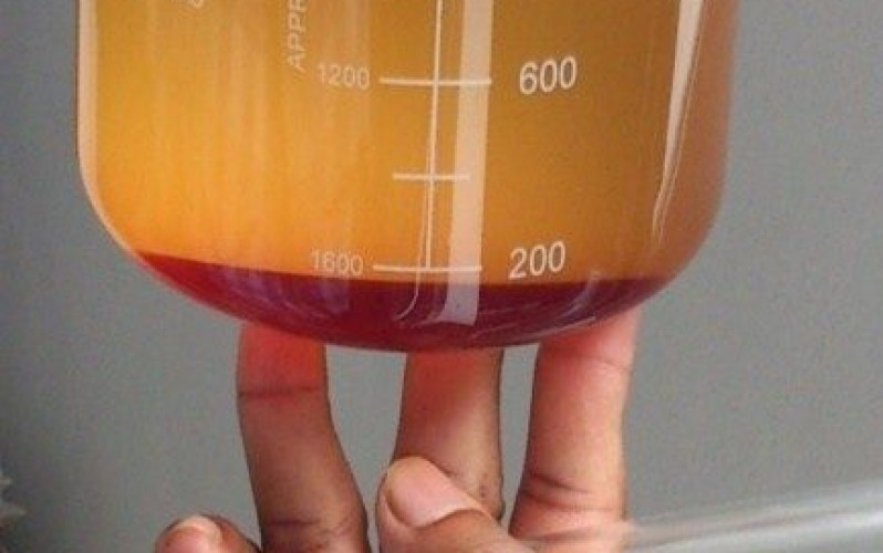 Reprodução - Shanmugasundaram Sankar