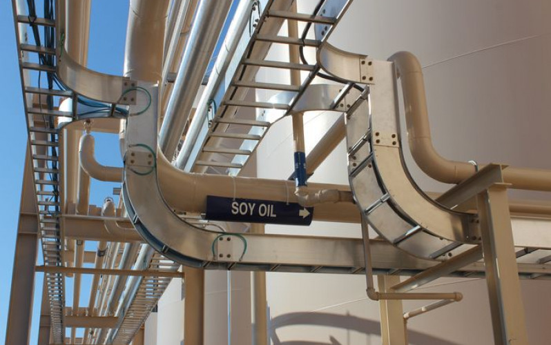 Divulgação - United Soybean Board