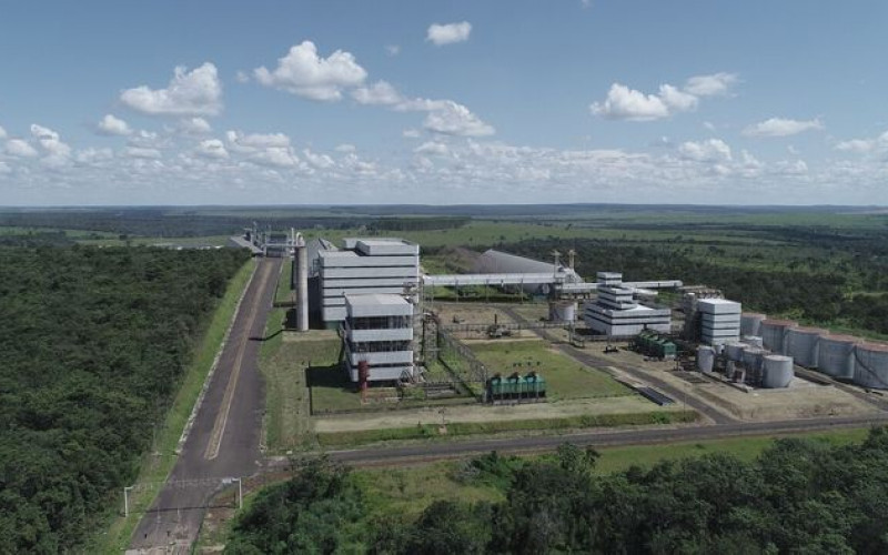 Divulgação - Fênix