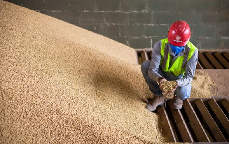 Wenderson Araújo - Sistema CNA/Senar