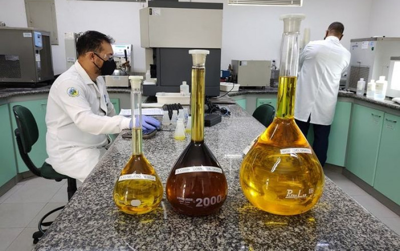 Divulgação - Granol