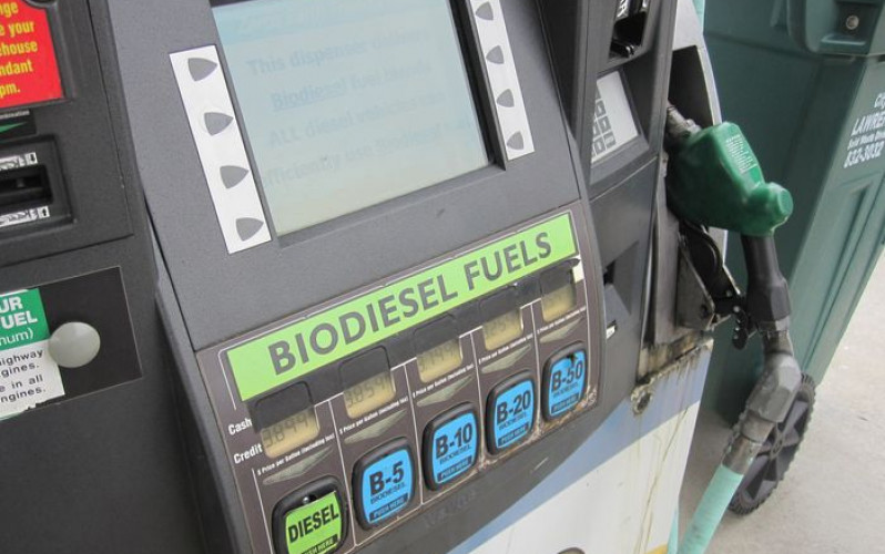 Divulgação - United Soybean Board