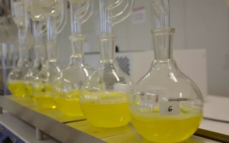 Divulgação - Embrapa