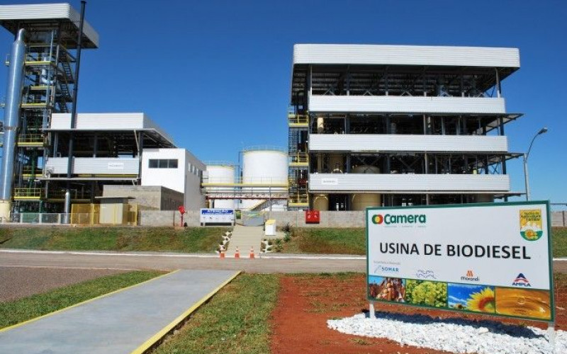 Reprodução - Camera