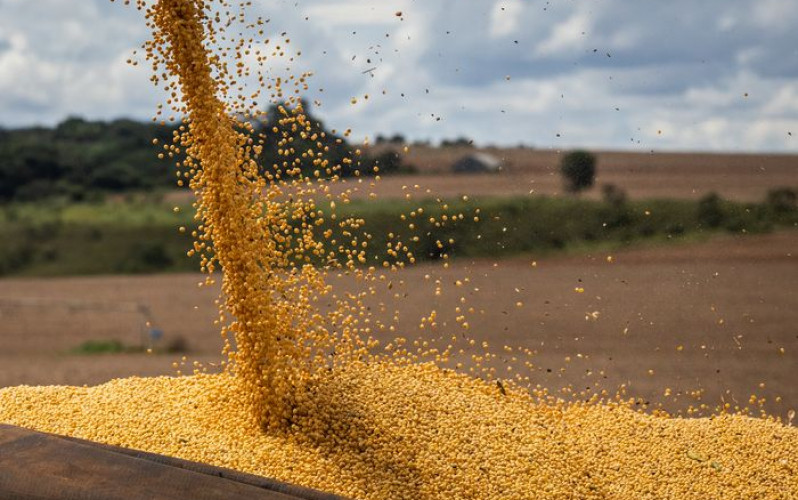 Divulgação - Sistema CNA/Senar