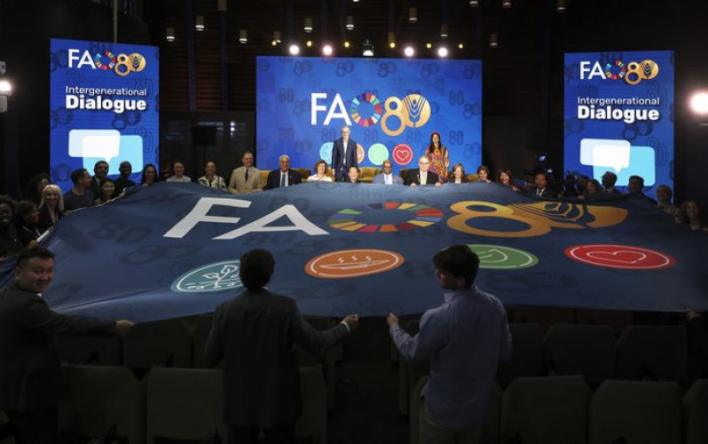 Alessandra Benedetti - FAO