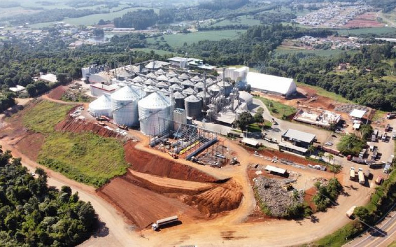 Divulgação - Grupo Vaccaro