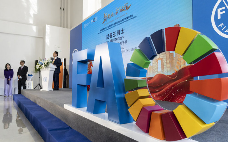 Qilai Shen - FAO